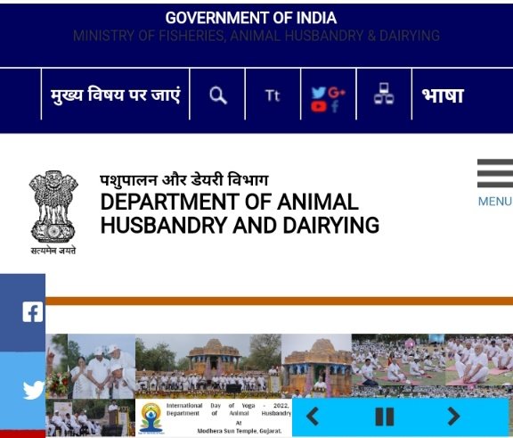 department of animal husbandry and dairying