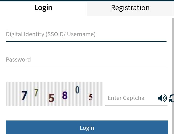 digital identity (ssoid/username), password, catcha, click the login