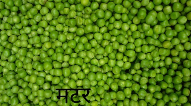 pea crop