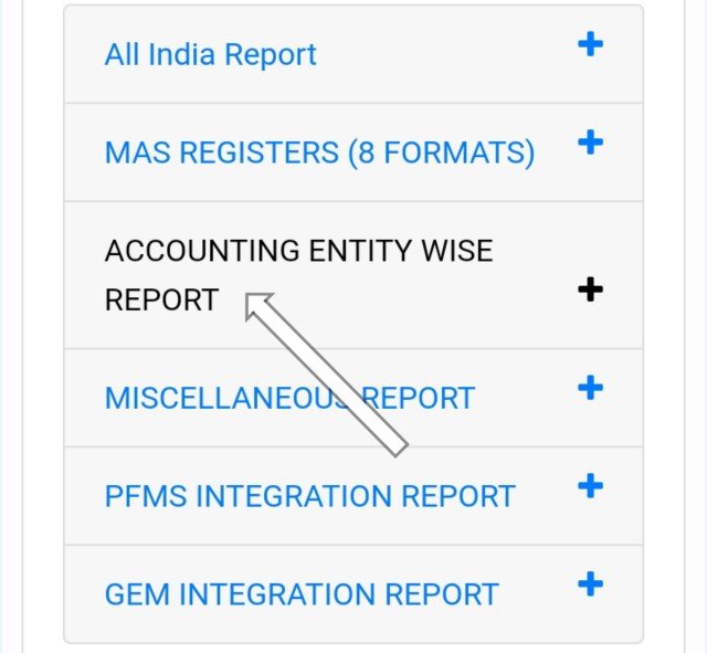 Accounting entity wise report