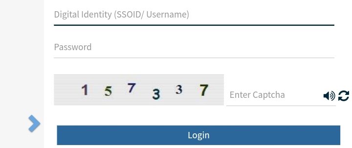 digital identity (ssoid/user name) 