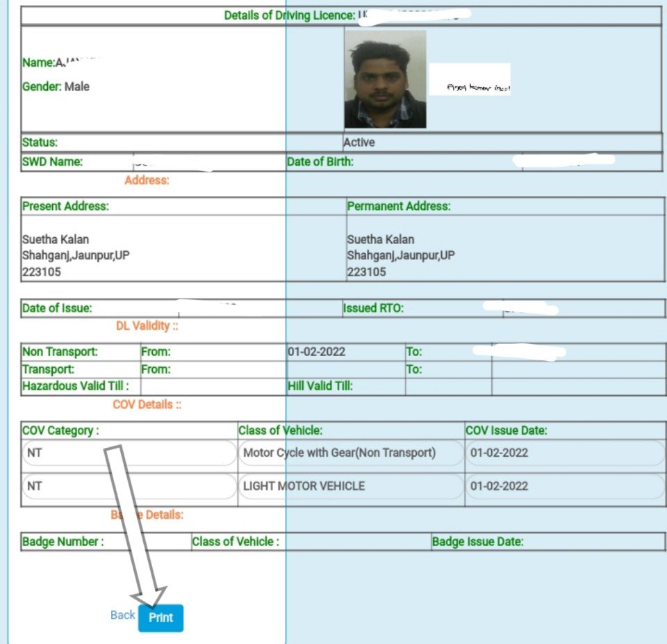driving license pdf download
